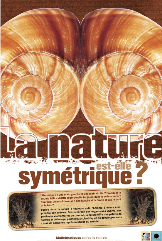 Mathématiques dans la nature - Image 3